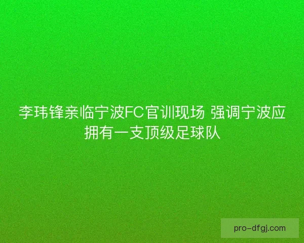 李玮锋亲临宁波FC官训现场 强调宁波应拥有一支顶级足球队